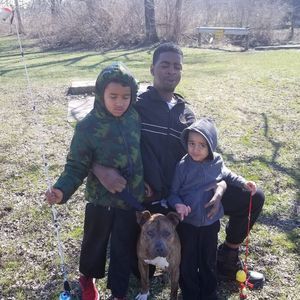 Meet your Posher, Joe